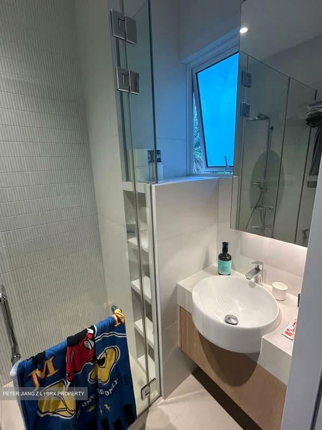 Boathouse Residences (D19), Condominium #580728501